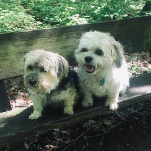 Meet your Posher, Patricia